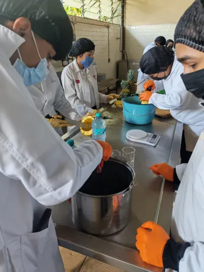Técnico Agropecuario (foto 1 de 5)
